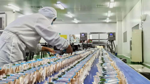 一塊餅干的匠心堅(jiān)守 鼎福二十年傳承媽媽的味道